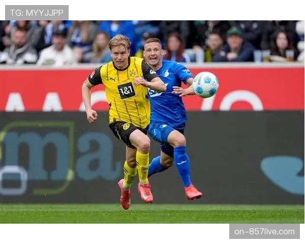 斯图加特4-2霍芬海姆,吉拉西上演帽子戏法领跑射手榜 斯图加特4-2霍芬海姆,吉拉西上演帽子戏法领跑射手榜